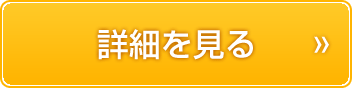 詳細を見る